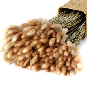 50 pçs / lote seco flores coelho rabo grama pampas grama plantas natural buquê lagurus ovatus casamento casa decoração de páscoa 210624