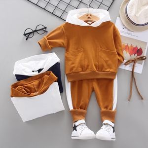 Bebek Toddlers Sonbahar / Kış Giyim Kızlar Kapüşonlu + Pantolon 2 Parça Çocuk Erkek Giyim Seti 210309