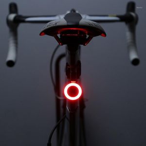 Cykelljus 1pc Cykeltailljus Multi Lighting-lägen USB-laddning LED Light Flash Tail Bak för MTB Road SeatPost