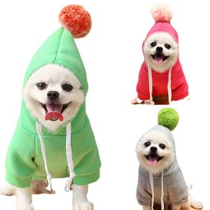 Designer Dog Apparel Clothes Sweater Four Seasons Medium Large Pet Hoodie Labrador French Bulldog Jacket Clothing