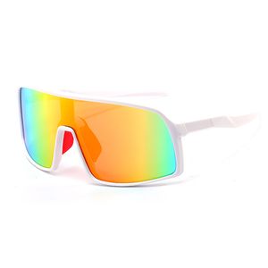 Herren-Reit-Sonnenbrille, bunt, großer Rahmen, Sonnenbrille, Damen-Outdoor-Sportbrille, Fahrrad 8230, winddichte Sonnenbrille