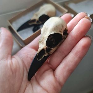 Projektant Naszyjnik Luksusowa Biżuteria Raven Skull Żywica Odlewana, Wrona, Goth Bird Gothic Magrpie Unikalny oryginalny prezent