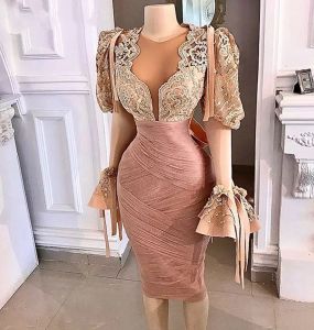 Little White Dress Long Sleeve Sheer o-neck African Women Party prom Night Autumn celebrity Dubai Rose Pink lace Cocktail evening Dresses CG001