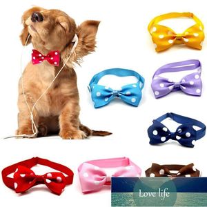 Pet Cat Dog Christmas Collar Holiday Bow Tie Justerbar nackband Grooming Accessories Puppy Necklace Collar Leases Factory Price Expert Design Kvalitet Senaste