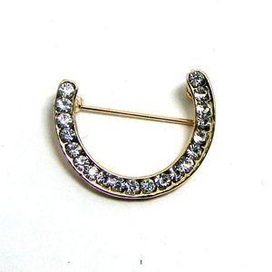 Pins, broscher Rhodium eller Gold Finish Horse Shoe U Formad Pin Brosch Glasögon Hållare Fashion Ornament Accessory 12pcs x