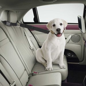 Verstellbare 2 Packungen Sicherheitsgurt für Haustiere, Hunde und Katzen, Auto-Kopfstützen-Rückhaltesystem, Nylongewebe, Hunde-Rückhaltesysteme, Fahrzeug-Sicherheitsgurte, 211006