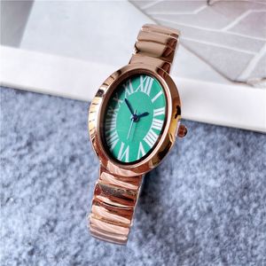 Модные марки для часов Женщины леди девушка овальные арабские цифры стиль сталь металлическая полоса красивые наручные часы C62