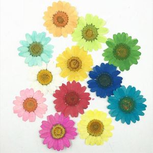 Novelty Items 12pcs Crystal Chrysanthemum Dyed Dried Flower Petal Handmade Bookmark Epoxy DIY Phone Case Plant Specimen Nail Craft