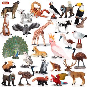 Oenux現実的な野生動物アクションフィギュア動物動物園タイガー馬オウムの鳥の固体ポリ塩化ビニールモデル置物のためのかわいいおもちゃ子供ギフトC0220
