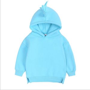 Newborn Infant Kids Baby Girls Clothes For Boys Spring Autumn Causal Dinosaur Hoodie Sweatshirt Long Sleeve Solid Warm Outfit