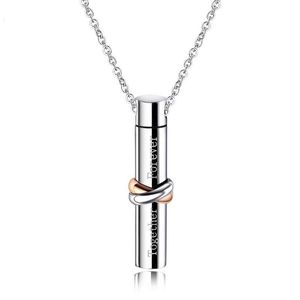 Pendant Necklaces Stainless Steel Men Women Pendants Chain Commemorate Loved Ones Memorial Pet For Jewelry Creativity Gift Wholesale