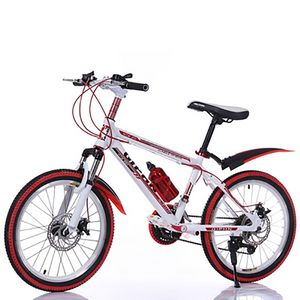 Bicicletta per bambini 20/22/24/26 pollici 21 velocità variabile doppio disco ammortizzatore Mountain Bike
