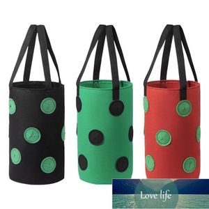 Holes With Handles Strawberry Planter Grow Bags Potato Pot Gardening Pots Home Flower Veg Tomato Planting Tools Container Planters