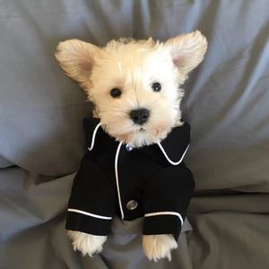 Luxury Clothes for Dog Fashion Dog Pajamas Pet Clothing for Small Medium Dogs Clothes Coat Yorkies Chihuahua Bulldogs Jacket 442 V2