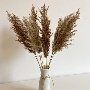 Dekorativa blommor kransar torkade vass naturliga växter gäng liten pampas gräs DIY CRAFT bröllop bukett POGGE rekvisita hem dekoration su