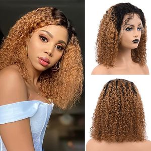Afro Kinky encaracolado peruca sintética 12 polegadas simulação cabelo humano suave perucas de seda para mulheres negras B2624