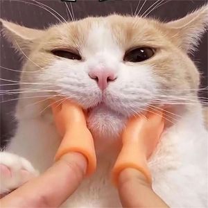 Brinquedos gato engraçado pequeno dedo silicone luvas massagem ferramenta esquerda e direita modelo minúsculo mãos brinquedo