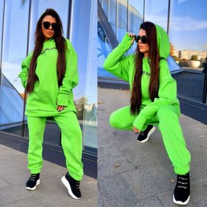 Women Tracksuits Autumn Winter Thick Fleece Warm Solid Suit 2 Pieces Sets Female Casual Long Sleeve Hooded Sweatshirt Outfit Y0625