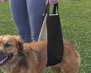 Köpek Yasası Kaldırma Kemer Köpekler için Hind Bacaklar Engelli Yardım Kemer Pet Eğitim Rehabilitasyon Çanta Kemer Engelli Köpekler için 211006