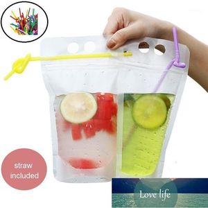 50PCS Disposable 500ml Juice Coffee Liquid Bag Vertical Zipper Seal Drink Bag Drink Pouches With Straw Party Household Storage1 Factory price expert design Quality