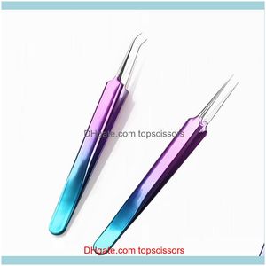 Kits Salon Health BeautyProfessional Manicure Kit Nipper Rhinestone Picker Eye Lashes Precision Pincetts pincett nagelkonstverktyg Set Drop D