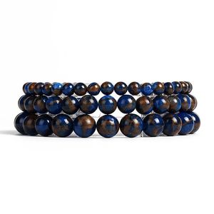 Beaded Strands Nature Royal Blue Cloisonne Bead Armband för Kvinnor Natural Energy Stone Reiki Armband Mäns Fashion Healing Smycken Pulsera