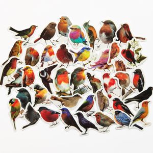 40 Adet-Paketi Robin Kuş Küçük Kuşlar Vinil Sticker Su Geçirmez Çıkartmalar Su Şişesi Dizüstü Planlayıcısı için Scrapbook Telefon Dolap Duvar Tampon Kutusu Organizatör Çıkartması