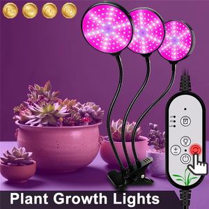 5V USBフィトランプLEDのフルスペクトル軽い植物の成長ランプFitolamp for苗の花のフィットランピー成長テント箱