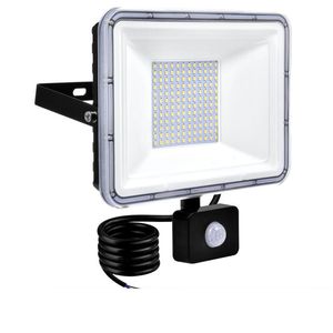 Proiettore da esterno con sensore di movimento da 20 W, lampada a induzione PIR da 100 W 50 W 30 W 10 W, luce intelligente, 6000 K, bianco freddo