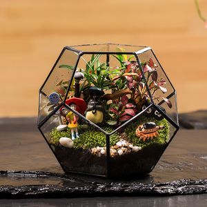 terrarium containers - Buy terrarium containers with free shipping on YuanWenjun