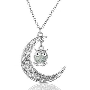 Cartoon Multicolor Luminous Owl Colar Pingente Lua brilhando nos colares de charme de animais escuros da moda Jewlery for Women Kid Gold Will e Sandy