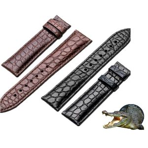 Zespół Zespołów 20mm 22mm 22mm Krokodyl Oryginalny Zespół Skórzany Aligator Pełny Ziarna Watchband Black Brown Wrist Wymień pasek