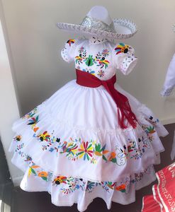 2022 Kolorowe kwiaty Haft White Flower Girls Sukienki na Wedding Party Ball Suknia Klejnot Neck Satin Wstążka First Communion Dress Toddler Infant Cupcake