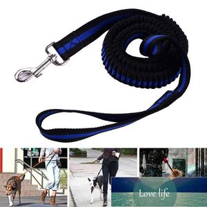 Nylon Elastic Dog Leash Gentle Rope Retractable Heavy Duty Puppy Walking Collar Leashes Fabrikspris Expert Design Kvalitet Senaste Style Original Status