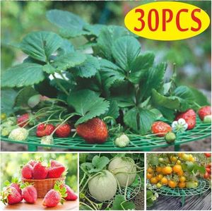 Outros suprimentos de jardim 30 pcs rack strawberry stand moldura titular balcão plantar frutas apoio flor pilar vegetal escalada videira