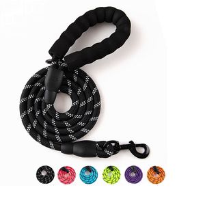 Nylon Training Dog Leash WebBing Recall Long Line Pet Traction Rope Perfekt för undervisning Camping Backyard