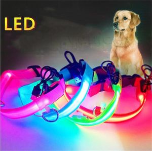Hem 8Colors 4Sizes Night Safety LED Light Flashings Glow Nylon Pet Dog Collar Små Medium Husdjur Leash Dogs Collar Blinkande Safetys Collarzc485