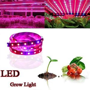Wholesale Garden Decorations Full Spectrum SMD5050 Led Grow Strip Light NON-waterproof for Hydroponic Plant Growing Lamp box Red Blue 4:1 BY1701