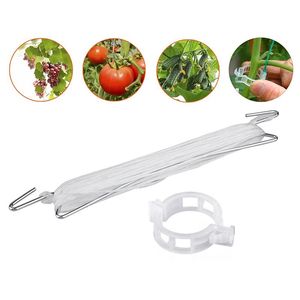 Altre forniture da giardino 20 pezzi di ganci per la crescita di piante e verdure, clip di supporto per pomodori, impediscono che i pomodori si pizzichino