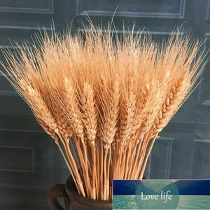 Sticks Of Wheat Natural Decorative Dried Flowers Flower Home Decoration & Living Bouquet Wedding Room V9I4 Wreaths Factory price expert design Quality Latest Style