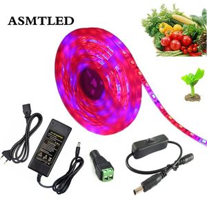 Wholesale led grow light 12v for sale - Group buy LED Grow Lights Set Waterproof DC V Plant Growing LED Strip Tape Light with Power Switch For Plant Aquarium Greenhouse