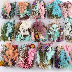 Wholesale pressed box resale online - Decorative Flowers Wreaths Box Random Mix Dried Flower Plant For Resin Jewellery Dry Plants Pressed Making Craft DIY Accessories