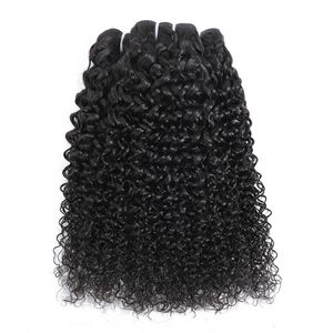 Brazilian Curly Hair With Closure Brazilian Virgin Human Hair Bundles With Lace Closure Unprocessed kinky curly hair