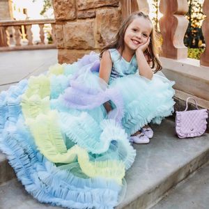 Çarpıcı Yüksek Düşük Renkli Çiçek Kız Elbise Düğün Aplike Için Prenses Toddler Pageant Törenlerinde Tül Sweep Tren İlk Communion Elbise