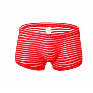 Mens Striped Boxer Seamless Slip Homme Men Panties Sexy Transparent Underwear Breathable See Through Underpants