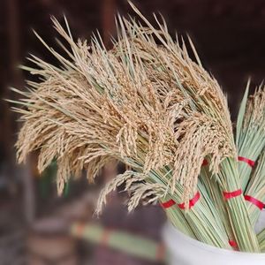 Fiori di grano artificiale Mazzo di grano di fiori secchi naturali per la decorazione della festa nuziale 100 pezzi / lotto decorazioni per la casa di riso