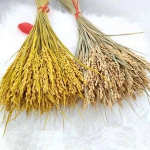 La salute naturale dei fiori secchi fiorisce il mazzo dei fiori della spiga di grano 100 pz/lotto decorazioni per la casa di riso di alta qualità