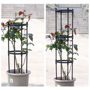 Other Garden Supplies Plant Climbing Frame DIY Assembly Trellis Obelisk Steel For Outdoor Wrought Iron Flower Stand