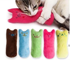 Fashion Mini Teeth Grinding Catnip Toys Funny Interactive Plush Cat Toy Pet Kitten Chewing Vocal Claws Thumb Bite Toys RRF12974