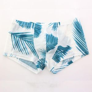 Ternos de uma peça malha transparente pura roupa interior gay homens swimwear super sexy troncos de natação bolsa bikini swimsuit shorts boxer bri